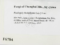登錄號:F0006784藏品圖，第2張