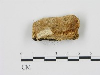登錄號:F0006784藏品圖，第1張