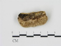 登錄號:F0006784藏品圖，第3張