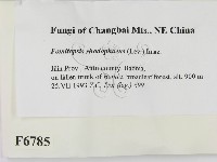 登錄號:F0006785藏品圖，第2張