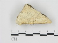 登錄號:F0006785藏品圖，第1張