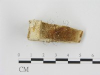 登錄號:F0006785藏品圖，第3張