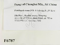 登錄號:F0006787藏品圖，第2張