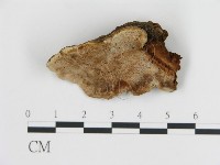 登錄號:F0006787藏品圖，第1張