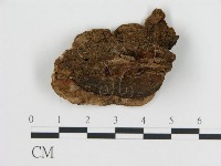 登錄號:F0006787藏品圖，第3張