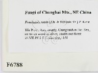 登錄號:F0006788藏品圖，第2張