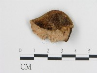登錄號:F0006788藏品圖，第1張