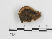 登錄號:F0006788藏品圖，第3張