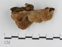 登錄號:F0006789藏品圖，第3張