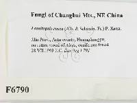 登錄號:F0006790藏品圖，第2張