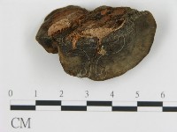 登錄號:F0006790藏品圖，第1張