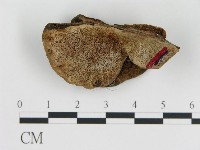 登錄號:F0006790藏品圖，第3張
