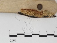 登錄號:F0006791藏品圖，第3張