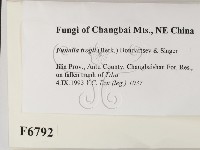 登錄號:F0006792藏品圖，第2張