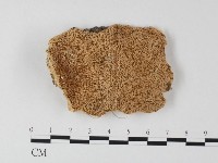 登錄號:F0006792藏品圖，第1張