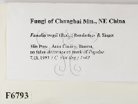 登錄號:F0006793藏品圖，第2張
