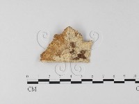 登錄號:F0006793藏品圖，第1張