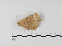登錄號:F0006793藏品圖，第3張