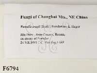 登錄號:F0006794藏品圖，第2張