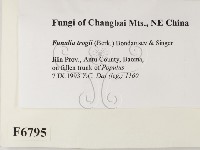 登錄號:F0006795藏品圖，第2張