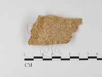 登錄號:F0006795藏品圖，第1張