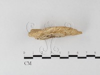 登錄號:F0006795藏品圖，第3張