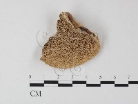登錄號:F0006796藏品圖，第1張
