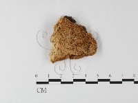 登錄號:F0006797藏品圖，第1張