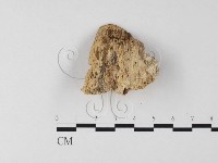 登錄號:F0006797藏品圖，第4張