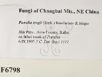 登錄號:F0006798藏品圖，第2張