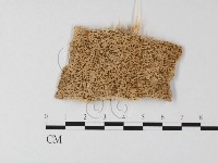 登錄號:F0006798藏品圖，第1張