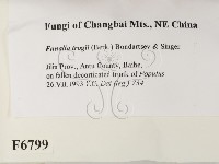 登錄號:F0006799藏品圖，第2張