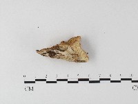 登錄號:F0006799藏品圖，第3張