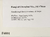 登錄號:F0006801藏品圖，第2張