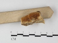 登錄號:F0006801藏品圖，第3張