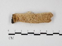 登錄號:F0006802藏品圖，第1張