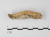 登錄號:F0006802藏品圖，第3張