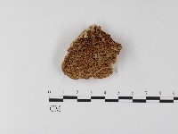 登錄號:F0006803藏品圖，第1張