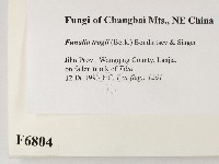 登錄號:F0006804藏品圖，第2張