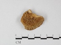 登錄號:F0006804藏品圖，第1張