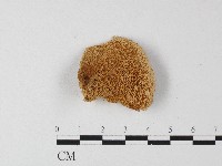 登錄號:F0006804藏品圖，第3張