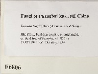 登錄號:F0006806藏品圖，第2張