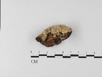 登錄號:F0006806藏品圖，第1張