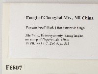 登錄號:F0006807藏品圖，第2張