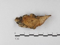 登錄號:F0006807藏品圖，第1張