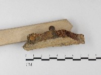 登錄號:F0006807藏品圖，第3張