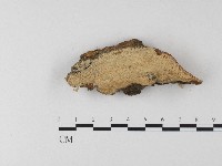 登錄號:F0006807藏品圖，第5張