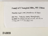 登錄號:F0006808藏品圖，第2張