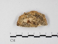 登錄號:F0006808藏品圖，第3張