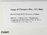 登錄號:F0006809藏品圖，第2張